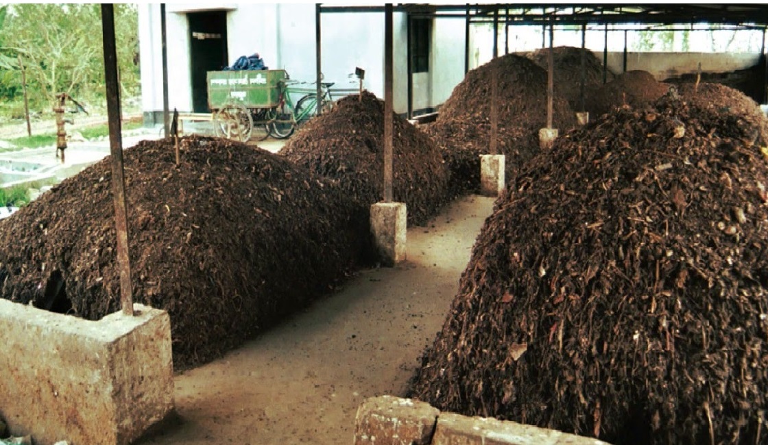 Compost Piles